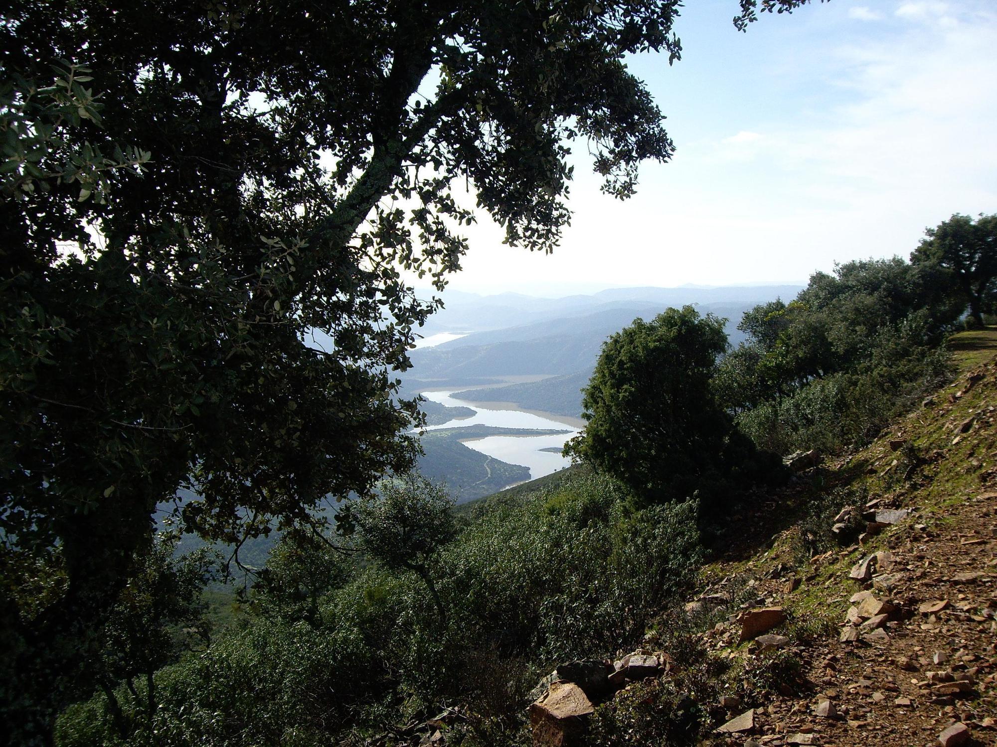 Apartamentos Paraje San Gines Andújar Esterno foto