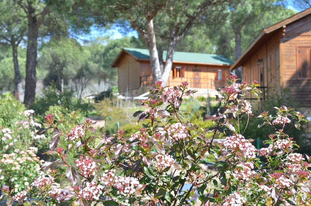 Apartamentos Paraje San Gines Andújar Esterno foto