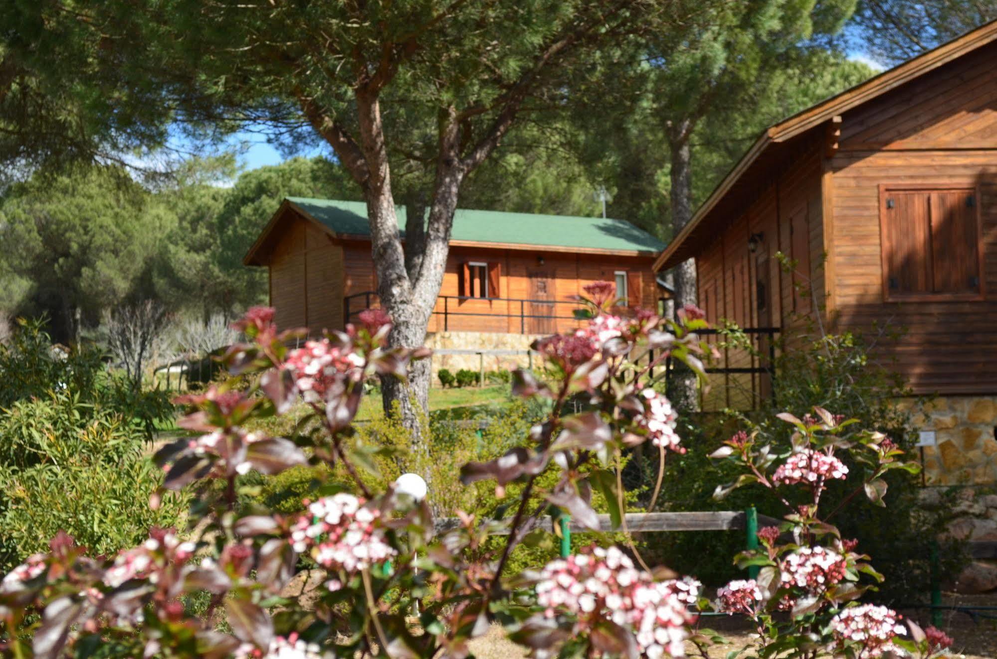 Apartamentos Paraje San Gines Andújar Esterno foto